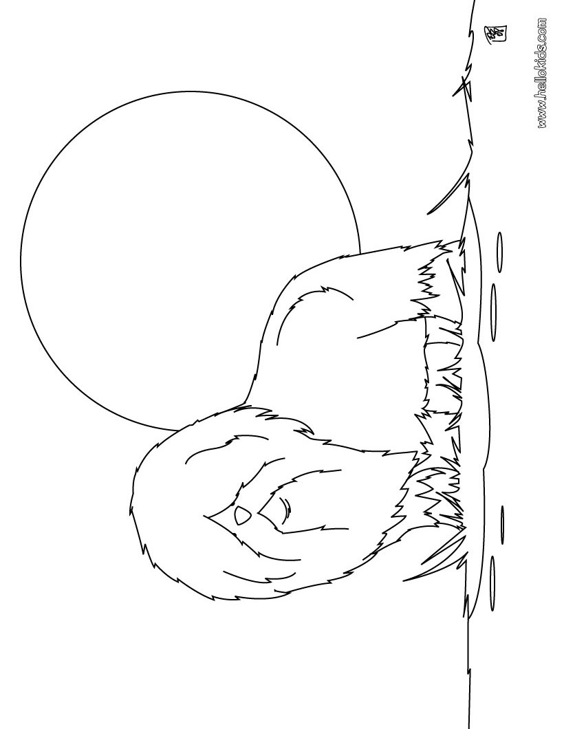 dog-coloring-page-02