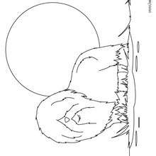 BOBTAIL coloring pages