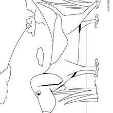 BEAGLE coloring pages
