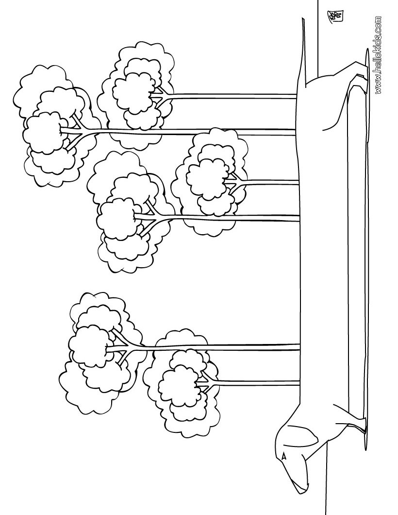 dog-coloring-page-07
