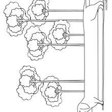 Dachshund coloring page