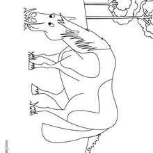 Horse colour in - Coloring - Animal coloring pages - Horse coloring pages