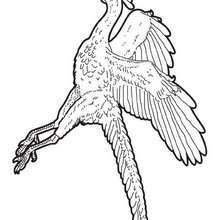 Archaeopteryx coloring page - Coloring - ANIMAL coloring pages - DINOSAUR coloring pages - Flying reptiles and Pterodactylus coloring pages