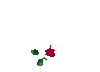 Be my Valentine animated gifs