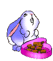 bunny-candy