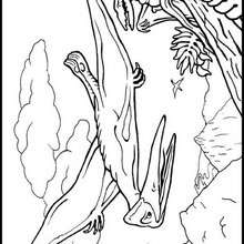 Flying reptile coloring page - Coloring - ANIMAL coloring pages - DINOSAUR coloring pages - Flying reptiles and Pterodactylus coloring pages