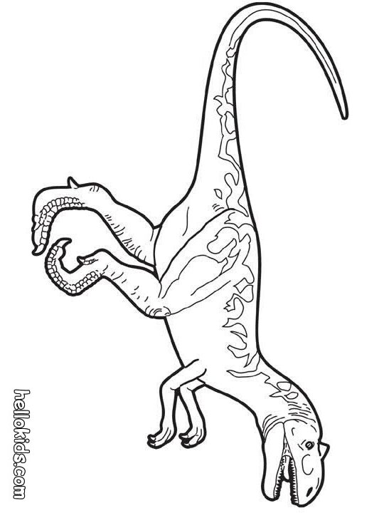 prehistoric-allosaurus-coloring-page