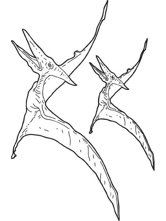 pterosaur-coloring-page