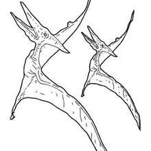 Pterosaur coloring page - Coloring - ANIMAL coloring pages - DINOSAUR coloring pages - Flying reptiles and Pterodactylus coloring pages