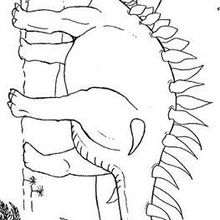 Stegosaurus and palme trees coloring page - Coloring page - ANIMAL coloring pages - DINOSAUR coloring pages - Stegosaurus coloring pages