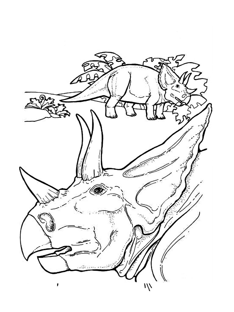 Triceratops39 head coloring pages Hellokidscom