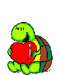 turtle-heart