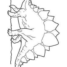 Walking stegosaurus coloring page - Coloring page - ANIMAL coloring pages - DINOSAUR coloring pages - Stegosaurus coloring pages