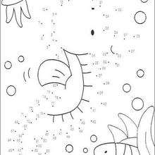 Dot to dot: Fishes - Coloring - Connect the Dots Coloring pages - Dot to dot: Animals, fishes and insects