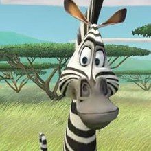 Madagascar 2 Games for kids - Movie Games - Games