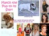 Match the Pup to its Star ?