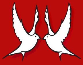 Doves1