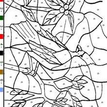 Bird color by number
