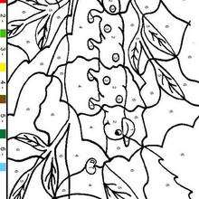 Caterpillar color by number