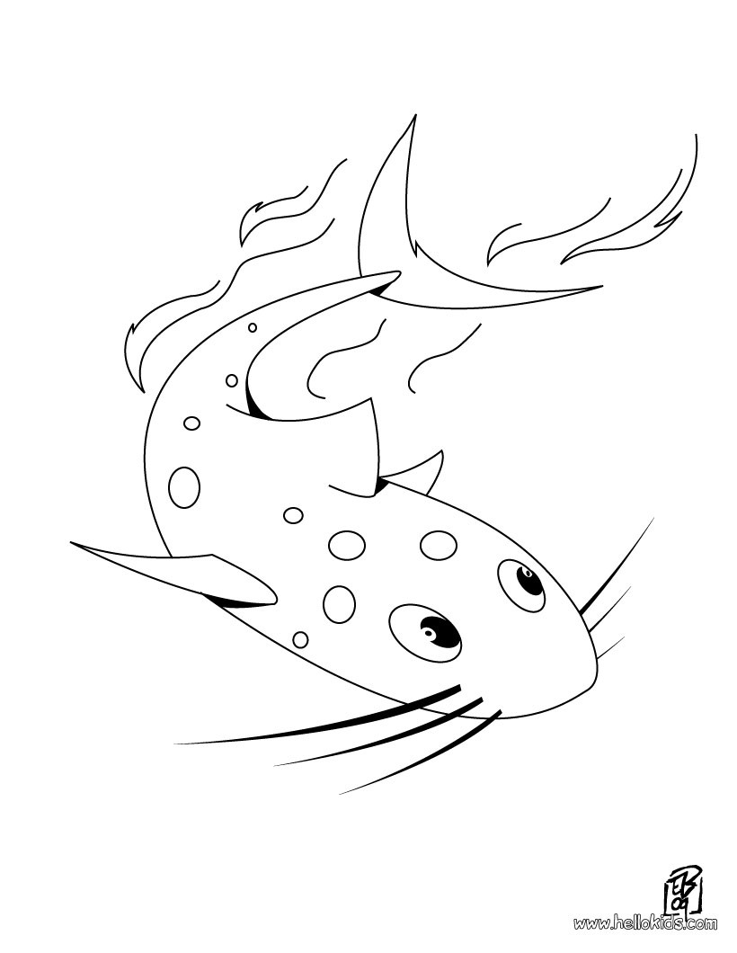 Catfish coloring page Coloring page ANIMAL coloring pages SEA ANIMALS coloring pages