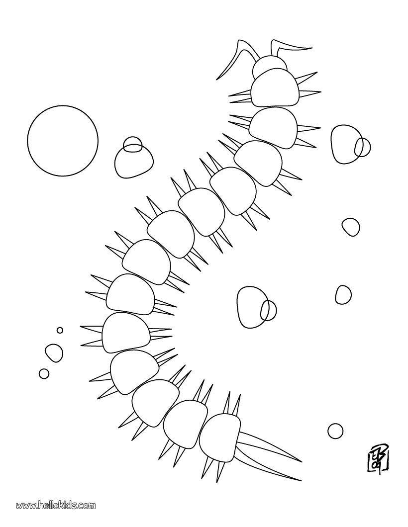 millipede coloring pages