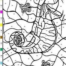 Chameleon color by number - Coloring - Color by Number coloring pages - Animal Color by Number coloring pages