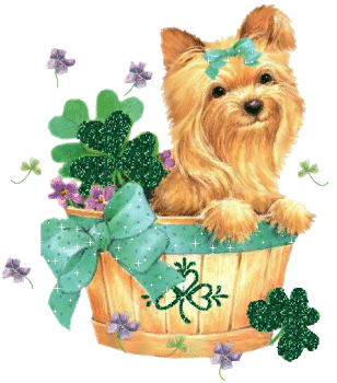 glitter-paddy-dog