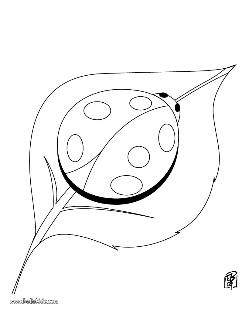 ladybug without spots coloring pages