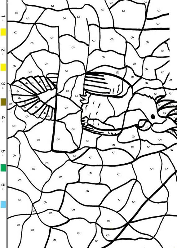 parrot-color-by-number