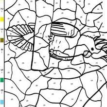 Parrot color by number - Coloring - Color by Number coloring pages - Animal Color by Number coloring pages