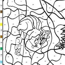 Squirrel color by number