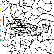 ANIMAL Color by Number coloring pages - Fennec Fox
