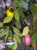 Easter egg tree - Activities - Art and Crafts for kids - Easter crafts