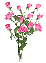 bouque-roses