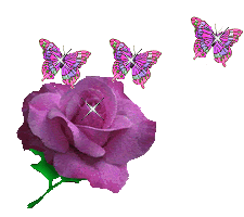butterly-roses