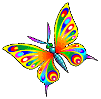 colored-butterfly