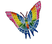 multi-colored-butterfly