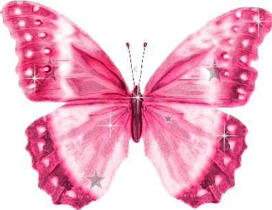 pink-butterfly