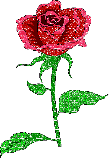 red-rose-source_if2.gif