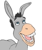 My Shrek Donkey - Pictures - ...by members of hellokids.com