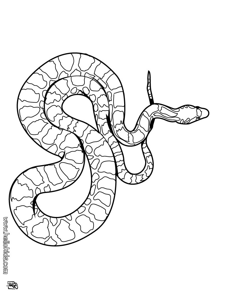 s is for snake coloring pages - photo #50