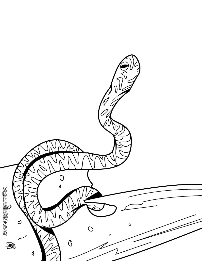 clouded-snake-coloring-page