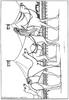 Dromedaries coloring page - Coloring - Countries and Cultures Coloring Pages - Egypt coloring pages