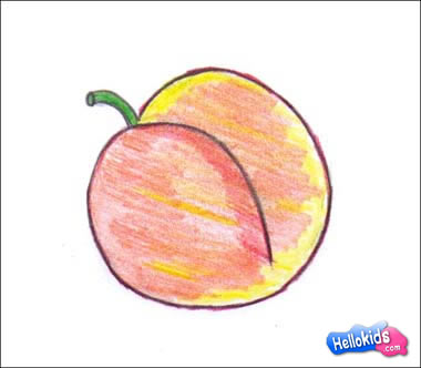how-to-draw-apricot11