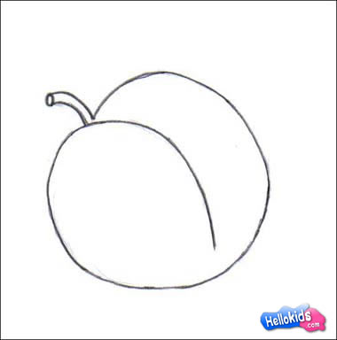 how-to-draw-apricot14