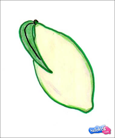 Featured image of post How To Draw A Lemon Step By Step : Easy drawing ideas step by step lemon.