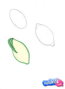 how-to-draw-lemon6