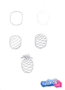 how-to-draw-pineapple6