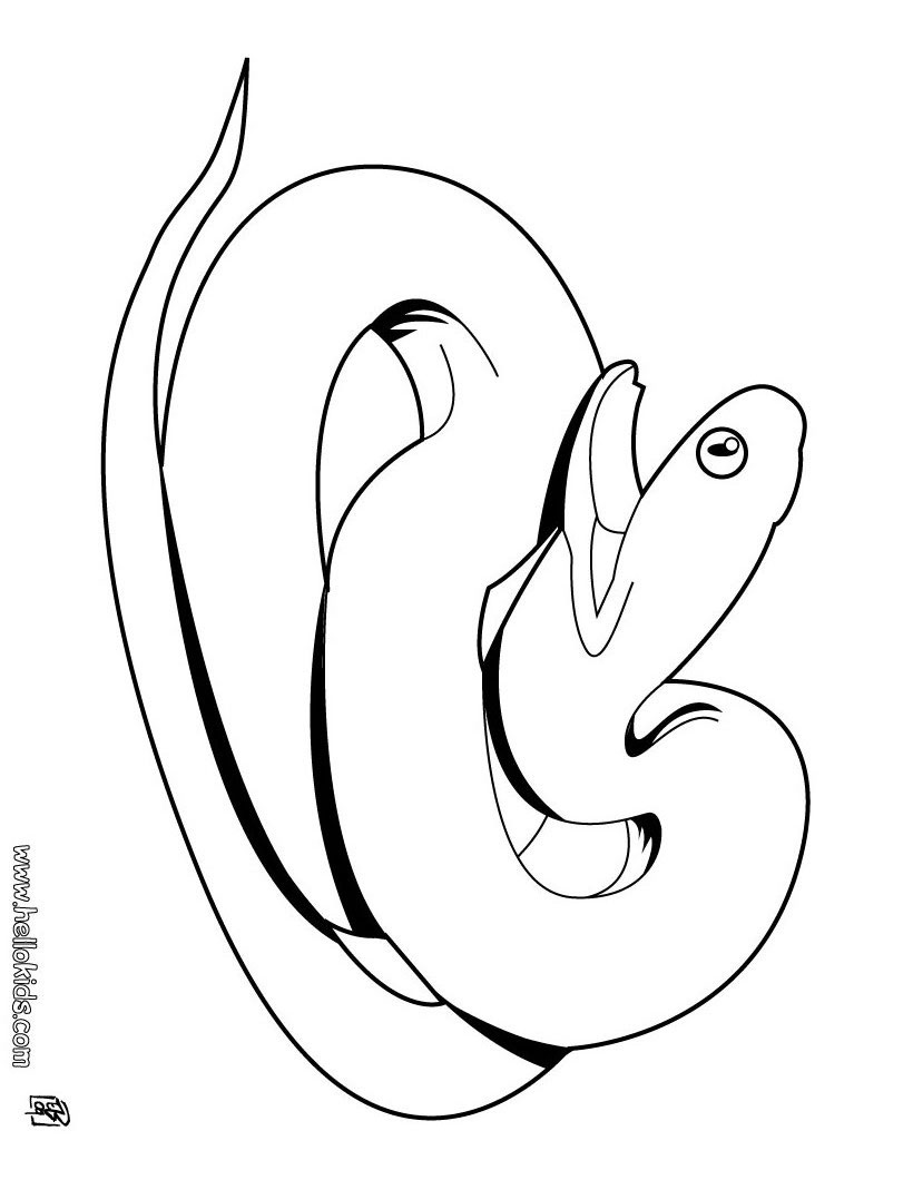 Snake Coloring Pages Hellokids
