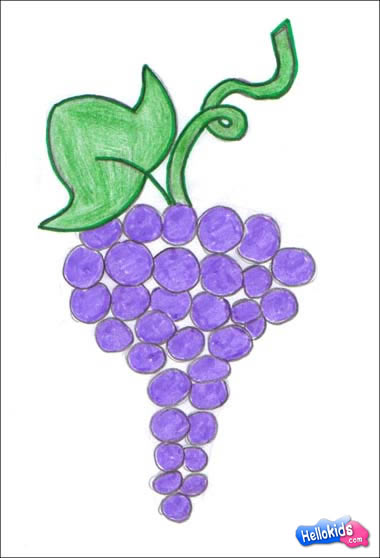how-to-draw-grape3